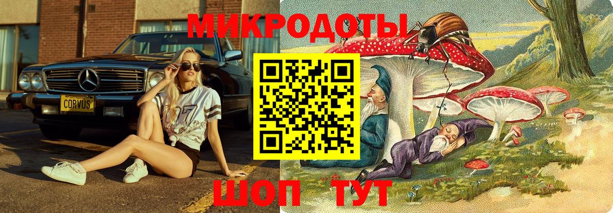Псилоцибиновые грибы Cubensis Богородск